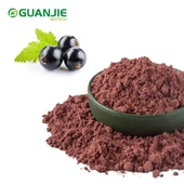 Reo Púdar Currant Dubh Triomaithe