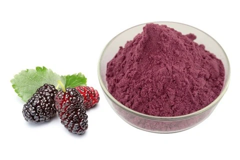 Mulberry Fruit Powder Mulberry Fruit Powder