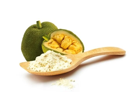 Raw Jack Fruit Powder Raw Jack Fruit Powder