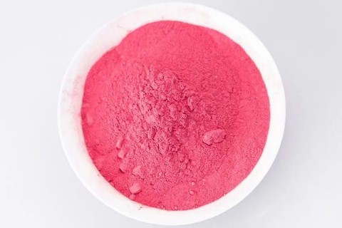 Dried Waxberry Powder Dried Waxberry Powder